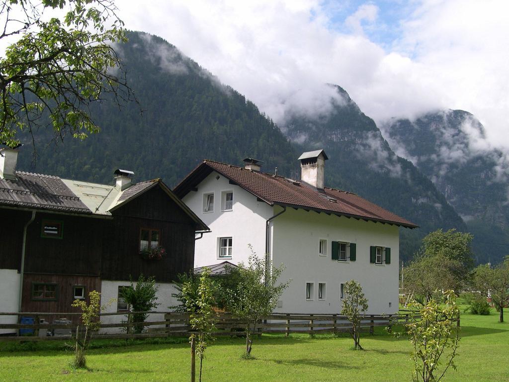 Ferienwohnung Stricker Obertraun Buitenkant foto