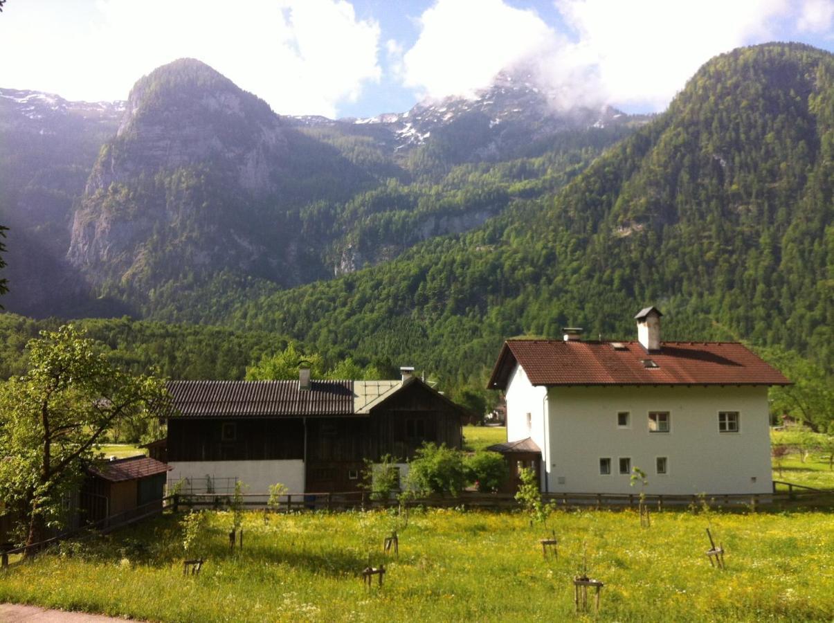 Ferienwohnung Stricker Obertraun Buitenkant foto